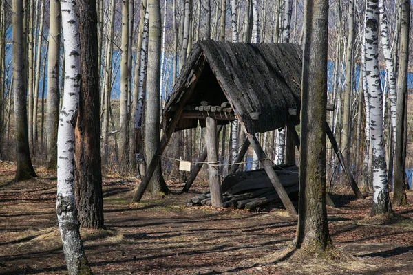 Το ξύλινο σπίτι του αρχαίου λαού. — Φωτογραφία Αρχείου