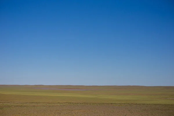 Монгольская степь в сентябре — стоковое фото