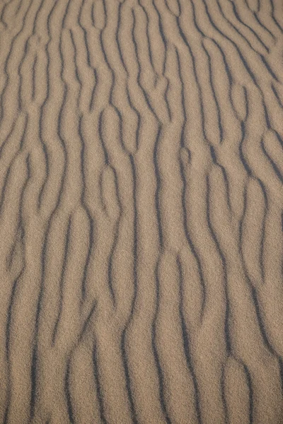 Sand dunes in the desert — Stock Photo, Image