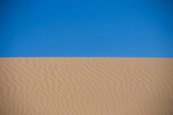 Vlag van Oekraïne gemaakt door de natuur — Stockfoto