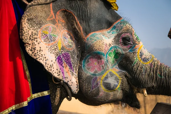 Indian elephant in a festive coloration — Stock Photo, Image