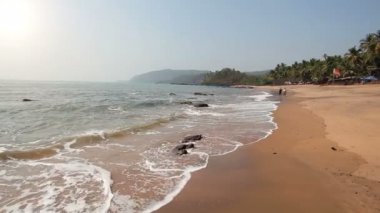 tropikal sunny beach
