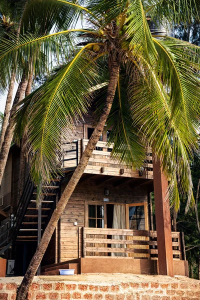 Tropical hotel with palm tree — Stock Photo, Image