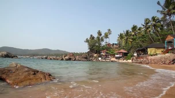 Plage tropicale ensoleillée — Video