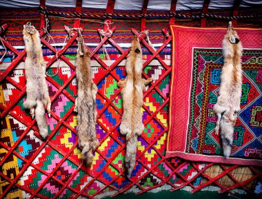 Animal skin in Kazakh yurt interior clipart