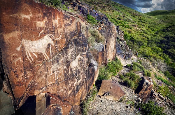 Petroglyphe avec des animaux au coucher du soleil — Photo