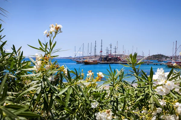 Hafen mit Booten in der Türkei — Stockfoto