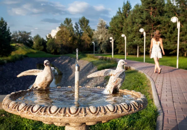 Springbrunnen mit Tauben im Park — Stockfoto