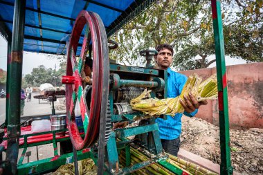 Şeker kamışı suyu üreticisi Hindistan