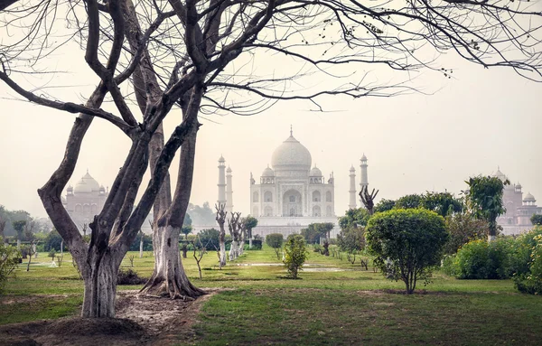 Taj Mahal e árvores no jardim Mehtab Bagh — Fotografia de Stock