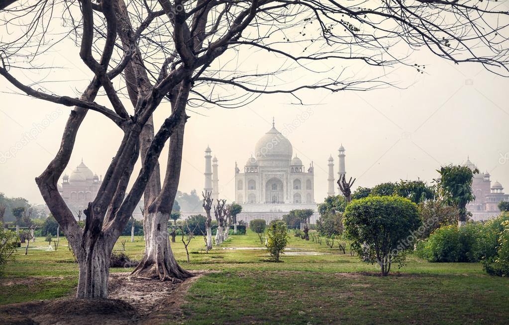 Taj Mahal and trees in Mehtab Bagh garden