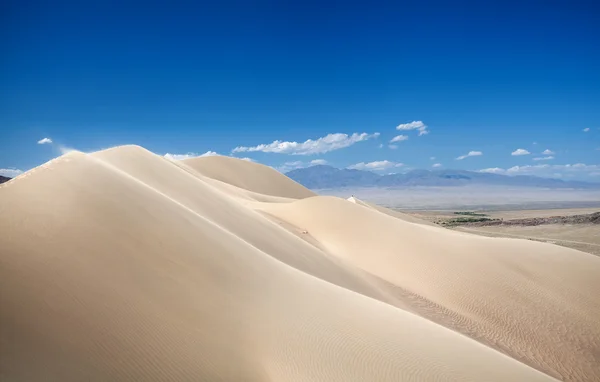 Sanddyner i öknen — Stockfoto