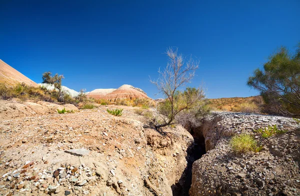 Пустынный каньон и горы — стоковое фото