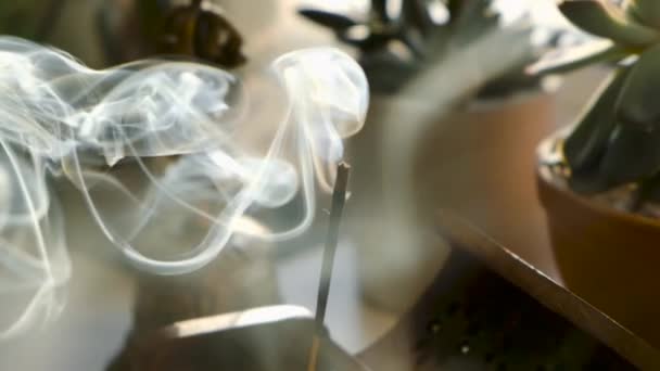 Ладан палка дым в замедленной съемке близко — стоковое видео