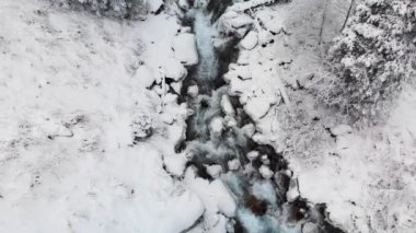 Kışın nehirde Dağlarda kar ormanlarında