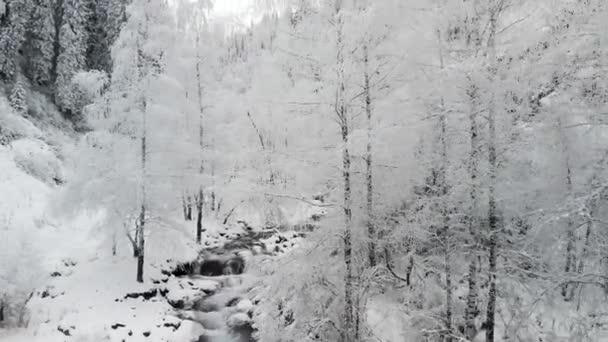 Rzeka w zimowym lesie śnieżnym w górach — Wideo stockowe