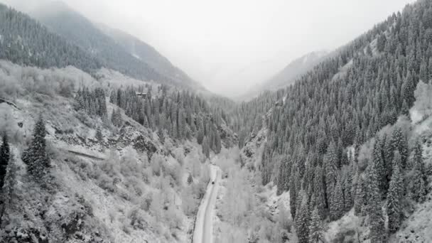 Droga z samochodem w zimowym lesie śnieżnym w górach — Wideo stockowe