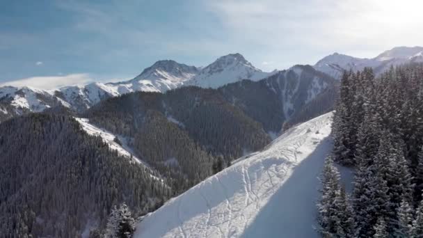 Foto aérea de bosque de nieve de invierno en las montañas — Vídeos de Stock