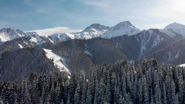 Vue aérienne de la forêt de neige hivernale dans les montagnes — Video