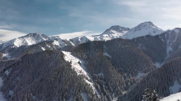 Zdjęcie lotnicze zimowego lasu śnieżnego w górach — Wideo stockowe