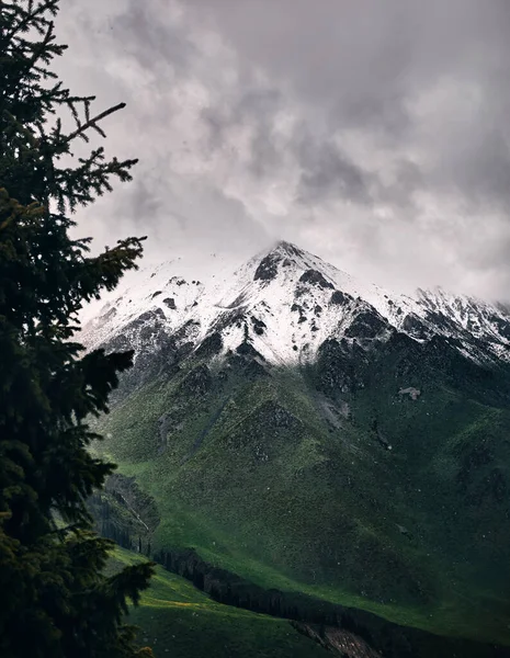 Bergstopp Med Snö Vid Dimmig Mulen Dag Med Gran Förgrunden — Stockfoto