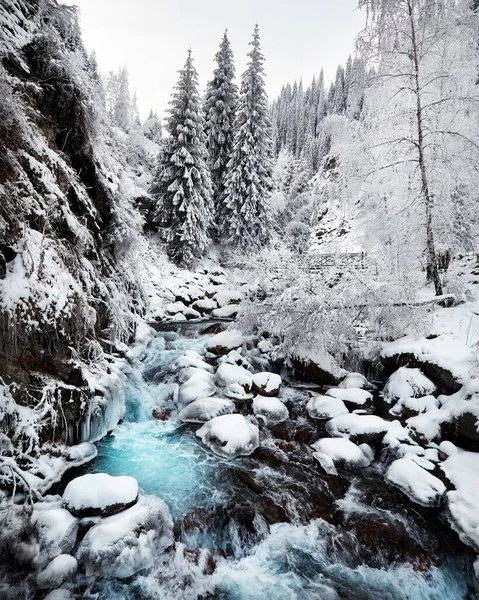 Mavi Nehrinin Güzel Manzarası Dağlardaki Ladin Ağacı Ormanı Kışın Karla — Stok fotoğraf