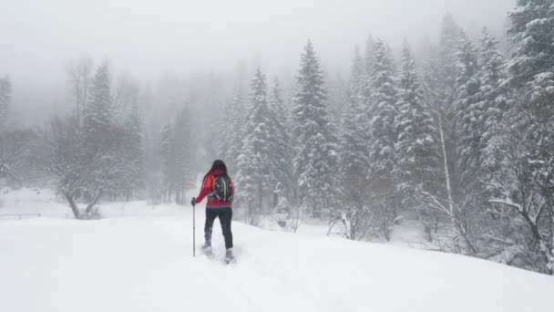 Мандрівник зі снігоходами в сніжному лісі в горах — стокове відео