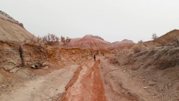 Drone tiro de passeio de bicicleta nas montanhas do deserto de cânion no Cazaquistão — Vídeo de Stock