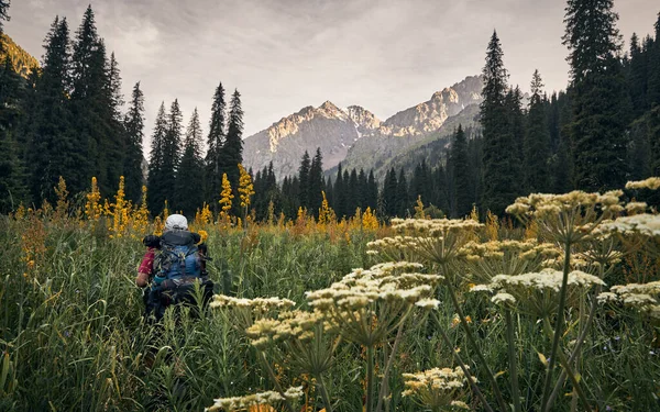 Hombre Turista Con Mochila Está Caminando Hierba Alta Valle Montaña — Foto de Stock