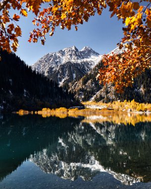 Sonbahar ormanlarının dağ manzarası, sarı ağaçlar ve Kazakistan 'daki Issyk Gölü' ne yansıyan karlı beyaz tepe.