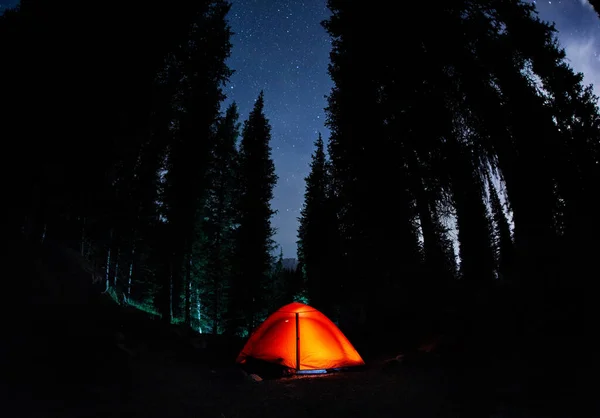 Pomerančový Stan Táboření Horském Lese Smrkem Pod Noční Oblohou Hvězdami — Stock fotografie