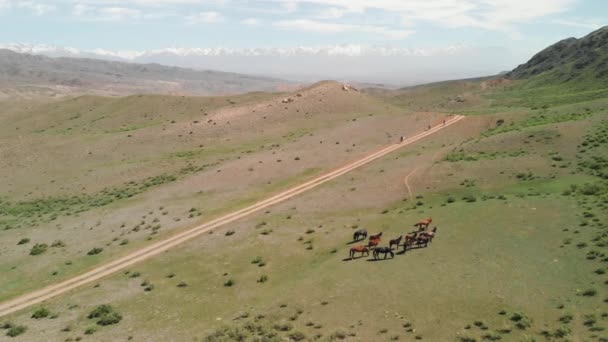 Kazakistan dağlarında bisikletçilerin drone görüntüleri var. — Stok video