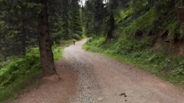 Homem passeio de bicicleta na estrada da montanha tiro aéreo — Vídeo de Stock