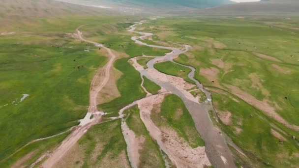 Flygfoto över Assy Mountain Valley i Kazakstan — Stockvideo