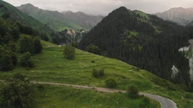 Dağ yolunda bisiklet süren bir adam, havadan çekim yapıyor.