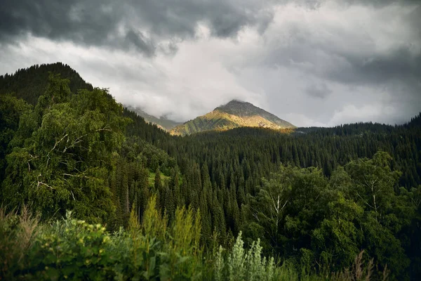 Schöne Landschaft Des Schneebedeckten Berges Und Des Grünen Üppigen Waldes — Stockfoto