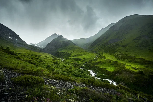 Vacker Natur Floden Bergsdalen Och Grön Lummig Skog Almaty Kazakstan — Stockfoto