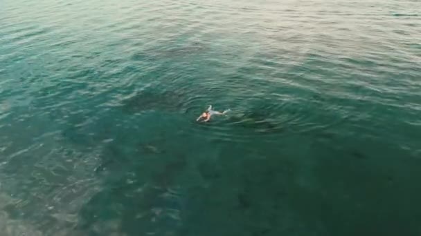 Flygfoto av ung kvinna som simmar i den transparenta turkosa havsvatten — Stockvideo