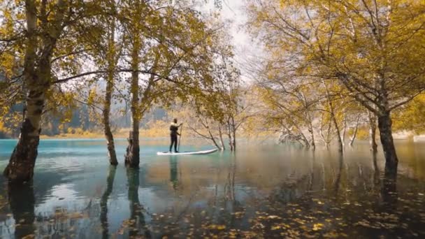Homem em pé prancha de remo no lago da montanha — Vídeo de Stock