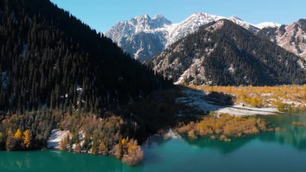 Hermoso paisaje de bosque de otoño en el lago — Vídeos de Stock