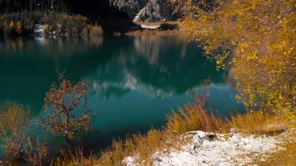 Gyönyörű táj őszi erdő a tavon — Stock videók