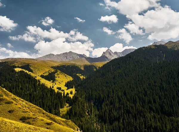 Hermoso Paisaje Del Valle Montaña Exuberante Bosque Verde Almaty Kazajstán — Foto de Stock