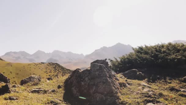 산속의 호수 근처를 걷고 있는 등산객 — 비디오