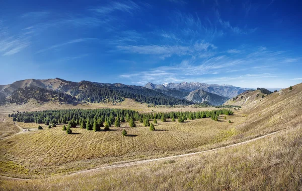 Mountain valley panorama — Stock Photo, Image