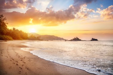 OM beach Hindistan