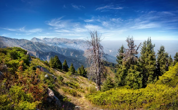 Gebirgstal — Stockfoto