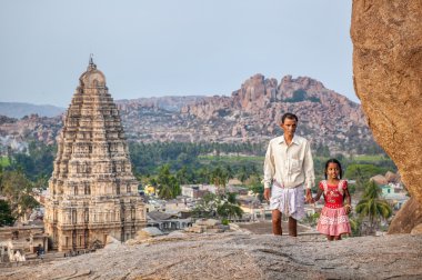 Hint hampi ailesinden