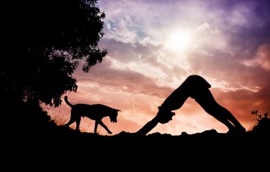 Yoga köpek poz