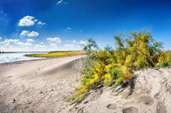 Dune near the lake — Stock Photo, Image