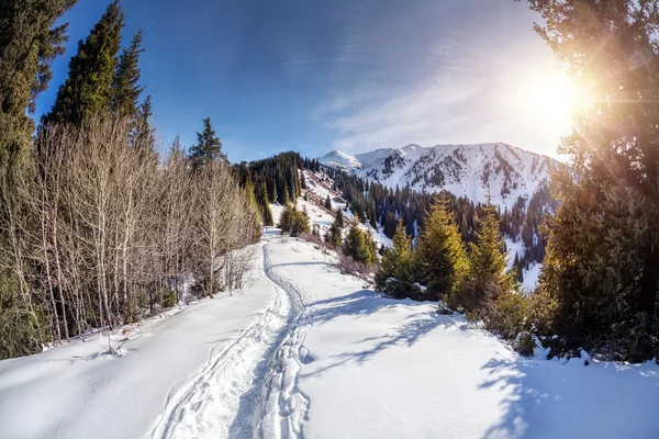 Inverno paisagem de montanha — Fotografia de Stock